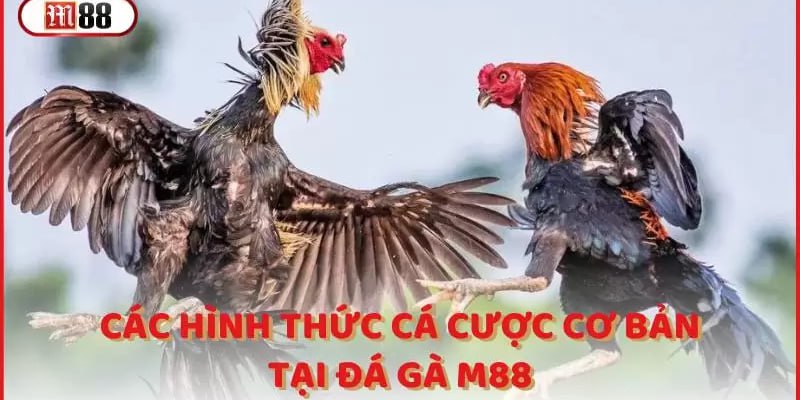 Xóc đĩa bịp là gì?